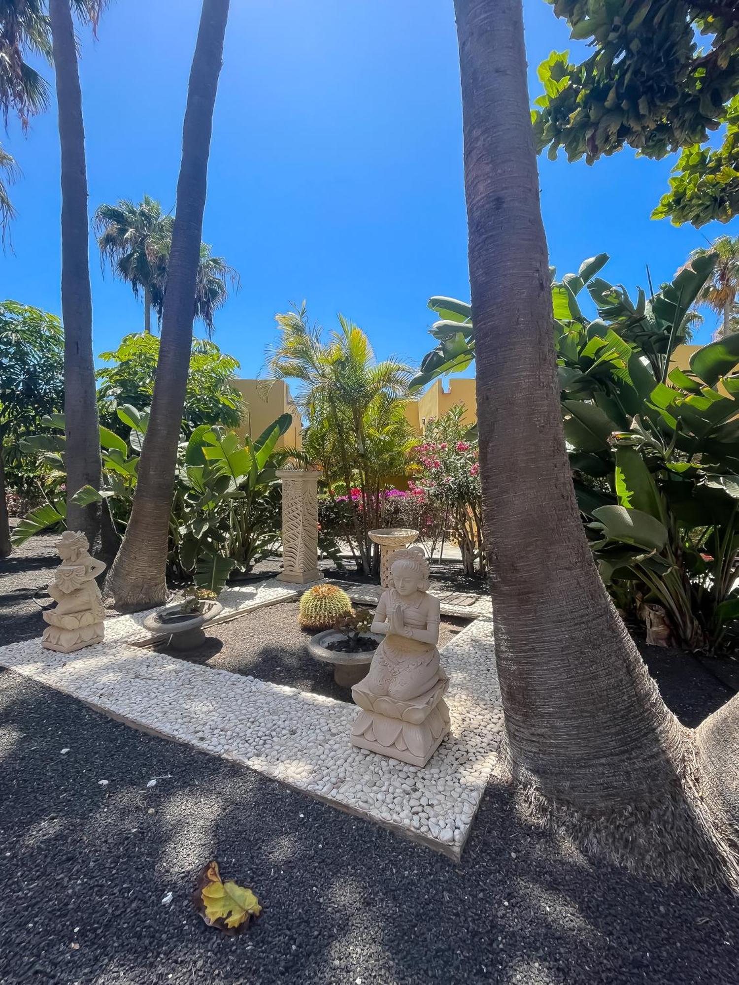 Appartement B-Rent Atlantic Garden 181 à Corralejo Extérieur photo